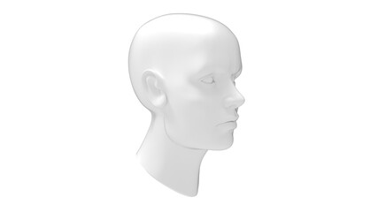 Female head mannequin 3D rendering isolated on a white background.