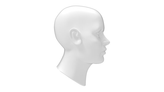 Female head mannequin 3D rendering isolated on a white background.