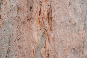 Background and texture in rose tones