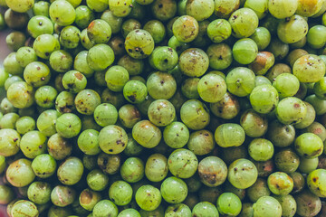 Emblic tree or thailand goose-berry