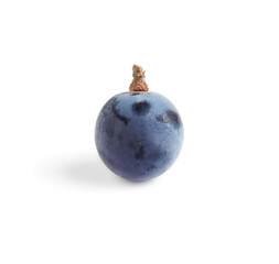 Delicious ripe dark blue grape isolated on white