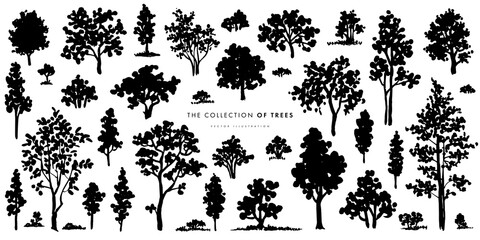 Trees sketch set. Hand drawn graphic forest. Vector illustration of different trees, shrubs and grass isolated on white background