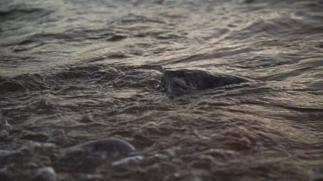 grey sea waves forming and collapsing on big wet rock at shore. slow motion