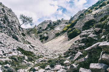 cloudy day in the mountains of the natural park of the ports, in tarragona (spain).