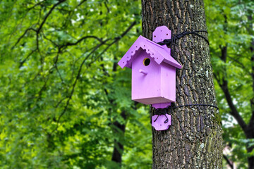 A lilac-colored bird house tethered to a tree