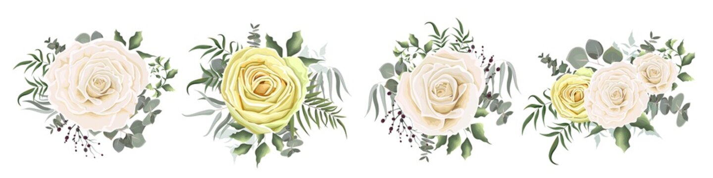 Set of vector compositions from flowers. Pink and yellow delicate roses, Asian buttercup. Flowers and plants on a white background.