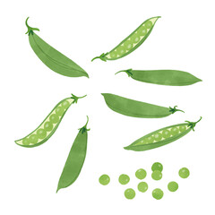 グリーンピースの手描きイラスト/水彩タッチ