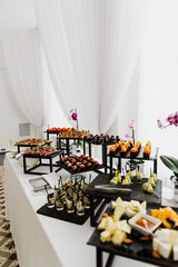 A variety of fish, cheese and meat snacks on the buffet table.