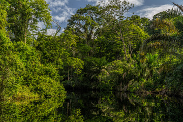 Canal in the national park of Tortuguero with its tropical rainforest along the Caribbean Coast of Costa Rica, Central America.