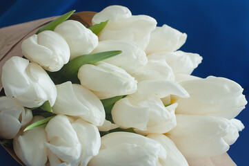 A bouquet of white tulips covered into vintage brown paper. Blue background.