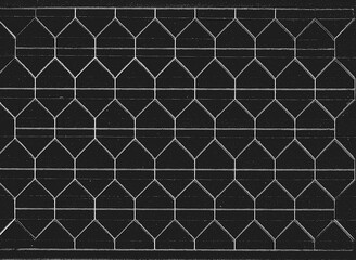 Black texture with white geometrical ornament. Abstract background