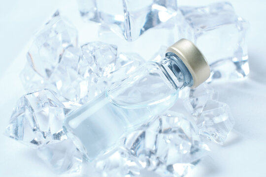 vial of vaccine between pieces of ice for better preservation.
