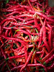 red hot chilli peppers