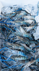 Fresh prawns are placed on top of ice cubes before being grilled over a charcoal fire. Kung Pao is a popular Thai grilled seafood dish.  shrimp are frozen with ice It is a staple for seafood dishes.