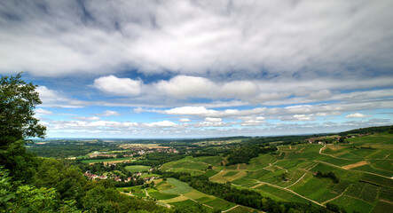 Fototapeta na wymiar Vignoble jurassien à Château-Chalon, Jura, France