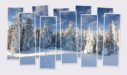 Fototapety na wymiar - Fototapeta24.pl