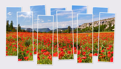Fototapety na wymiar - Fototapeta24.pl