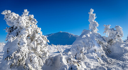 Winter in Poland Giant Mountains