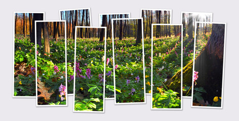 Fototapety na wymiar - Fototapeta24.pl