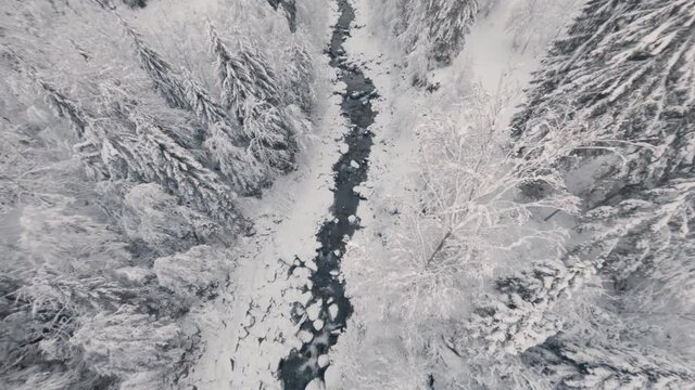Snowy Stream Flowing Between Coniferous Forest Near Cascade du Rouget In Winter. - FPV, aerial