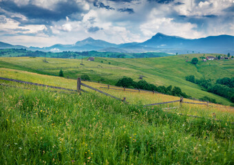Rural photography. Fresh green grass on the hill of Carpathian mountains with Hoverla and Petros peaks on background. Dramatic summer scene of mountain village. Beautiful summer scenery..