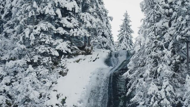 Clear Water Flowing Against Rocks And Pine Trees Covered In Snow, Cascade du Rouget, France - Tilt-Down Shot