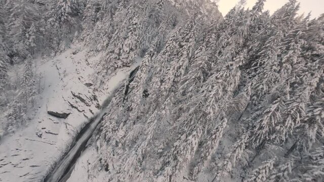 Streams Flowing From Snowscape Mountains With Dense Coniferous At Cascade du Rouget In Sixt-Fer-a-Cheval, France During Winter. - Aerial Drone Shot