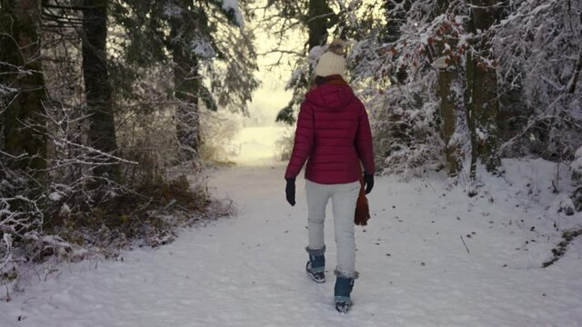 Back View Of A Woman Walking On Snow-filled Ground In Sixt-Fer-a-Cheval, France During Winter Season. Golden Retriever Pet Dog Running Freely. static shot