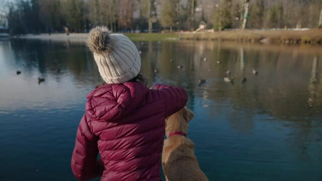 Woman With Her Pet Dog Throwing Food For Ducks On A Calm Lake At Park In Base de Loisirs du Lac Bleu During Winter In Morillon, France. -  Medium, Slow Motion