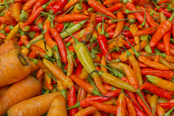 details of chilli pepper on the grocery 