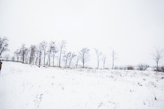 Winter snowy day. Beautiful winter nature landscape. Wintertime scene