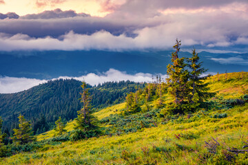 Astonishing summer scenery. Magnificent  morning view of Carpathian mountains. Spectacular  morning on mountain valley. Huge fog spreads among mountains hills. Landscape photography.