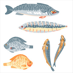 Different kinds of fish for food