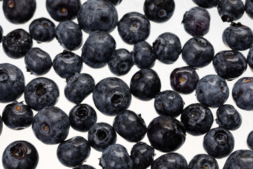 fresh blueberries spread on white surface 