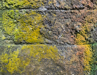 Weathered old wall with mossy surface. Grunge and abstract texture background image.