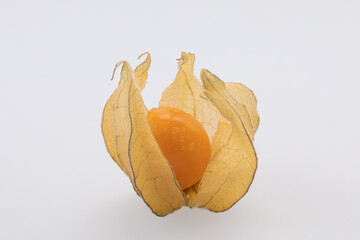 dried and peeled  physalis fruit berry on white background 