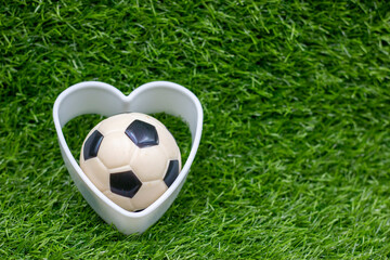 Soccer ball is on green grass