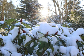 Cuxhaven Winterwunderland im Stadtpark