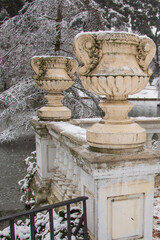 the view of a lake of ducks with a big jugs and trees in a cold winter snowfall day