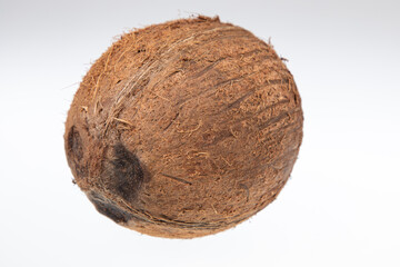 coconut fresh from coconut palm tree, isolated on white 