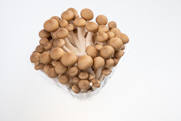 fresh brown beech mushroom isolated on white 