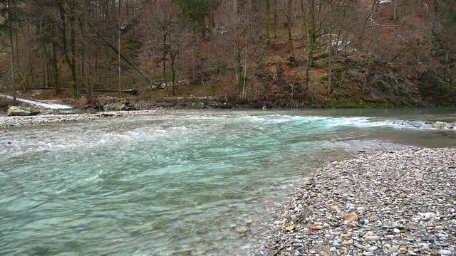 Pristine and clean water flowing downstream in Slovenia. Blue river in forest. Calm stream flowing in Alpine valley. Static shot, real time, wide angle