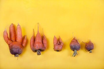 Five funny ugly fresh carrots lie on a yellow background. Vegetarian food concept.