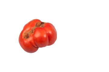 Ugly funny ripe tomato on a white isolated background. Copy space.