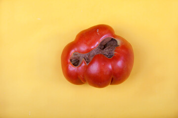 Ugly funny ripe red tomato lies on a yellow background.