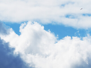 Obraz premium clouds in the blue sky