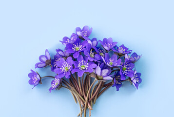 A bouquet of blue spring flowers on a light blue background. Spring concept. Top view. Copy space.