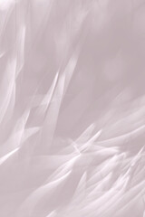 Obraz premium Light beige abstract background for web banner or design element. Soft focus.