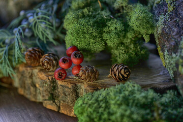 green moss on the tree