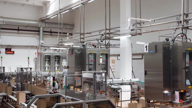 Conveyor for the production of cardboard boxes and packaging for food. Large plant